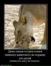 Чорна Депресія фотография #31 (источник - https://vk.com/id22016876)