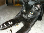 Фотография Лосевой Джейран