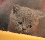 Антон Воробьёв фотография #26 (источник - https://vk.com/id3472930)