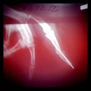 Фотография Ахмедова Тимки