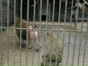 Віталік Стець фотография #16 (источник - https://vk.com/id65006426)