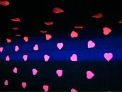 Софья Левенталь фотография #30 (источник - https://vk.com/id409592)