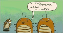 Олег Ткач фотография #27 (источник - https://vk.com/id11826184)