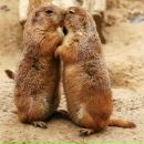 Данил Смирнов фотография #31 (источник - https://vk.com/id532575)