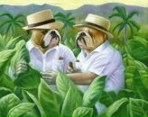 Фотография Фёдорова Виталия