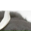 Олеся Матвійчук фотография #25 (источник - https://vk.com/id50923906)