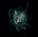 Сергій Кузьменко фотография #14 (источник - https://vk.com/id128849186)