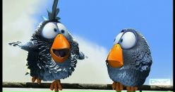 Фотография Соколовой Светланы