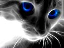 Іра Котлярська фотография #21 (источник - https://vk.com/id68881927)