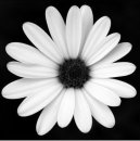 Тетяна Червінська фотография #49 (источник - https://vk.com/id139587654)