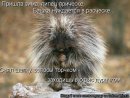 Сергей Галич фотография #8 (источник - https://vk.com/id35142883)