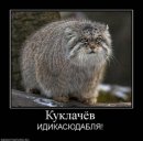 Анна Чернова фотография #43 (источник - https://vk.com/id530342)