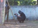 Виктор Олейников фотография #47 (источник - https://vk.com/id1788447)
