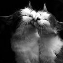 Sergey Vladimirovich фотография #7 (источник - https://vk.com/id960176)