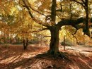 Андрій Мельник фотография #7 (источник - https://vk.com/id33281586)