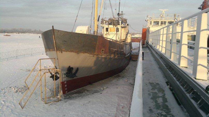 Виктор Алтынбаев фотография #48