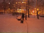 Фотография Волковой Елены