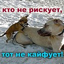 Олег Ніколаєнко фотография #2 (источник - https://vk.com/id161196626)