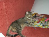 Фотография Фиохиной Татьяны