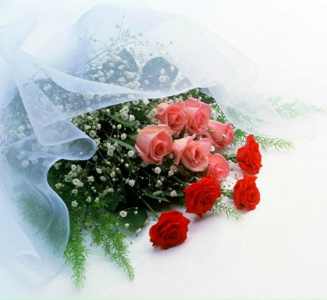 Александр Плотников фото №7