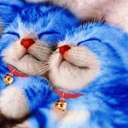 Чайка Юлія фотография #3 (источник - https://vk.com/id166447205)