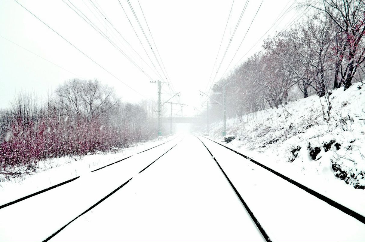 Герман Диркс фотография #37