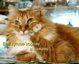 Сергій Федула фотография #47 (источник - https://vk.com/id11432951)
