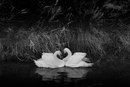 Фотография Порошиной-Елисеевой Галины