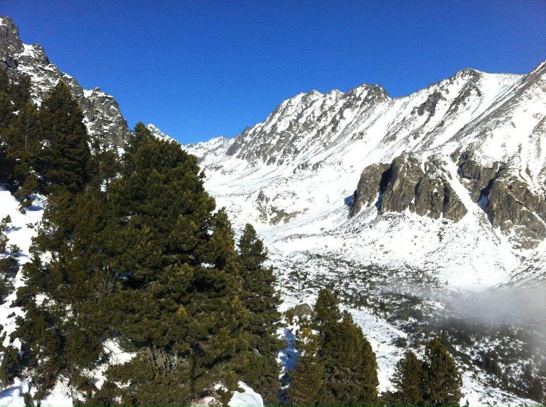 Дмитрий Сапсан фотография #45