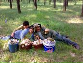 Ніна Присяжнюк фотография #15 (источник - https://vk.com/id112438674)