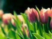 Іра Акімова фотография #32 (источник - https://vk.com/id94203383)