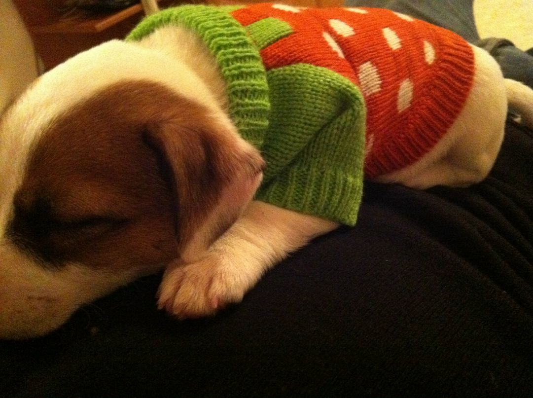 Валерий Валерьевич фотография #37