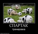 Настюша Василів фотография #22 (источник - https://vk.com/id163985688)