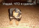 Маріанна Савко фотография #30 (источник - https://vk.com/id170984025)