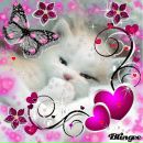 Алінка Герило фотография #18 (источник - https://vk.com/id136453898)