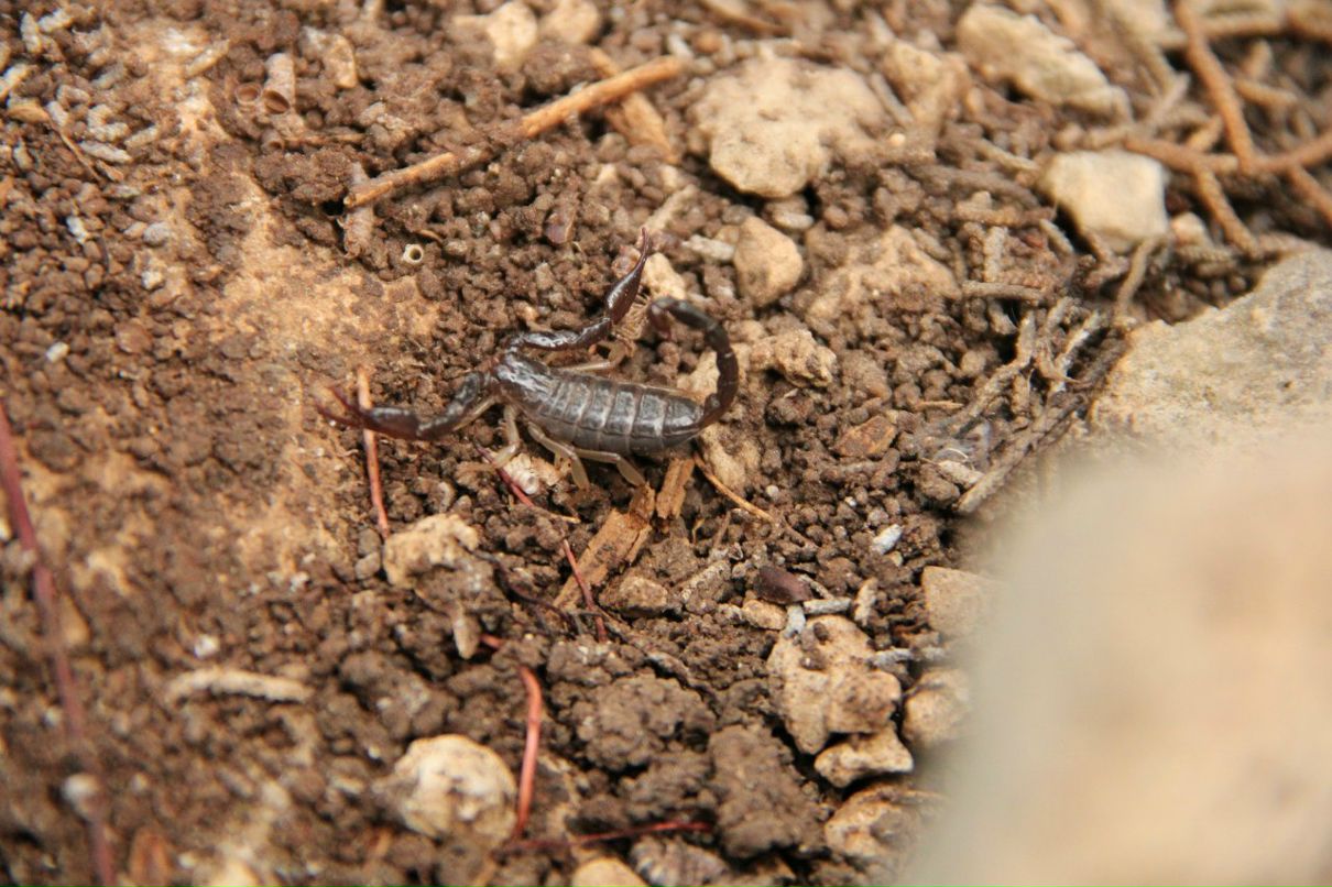 Женя Татировский фотография #25