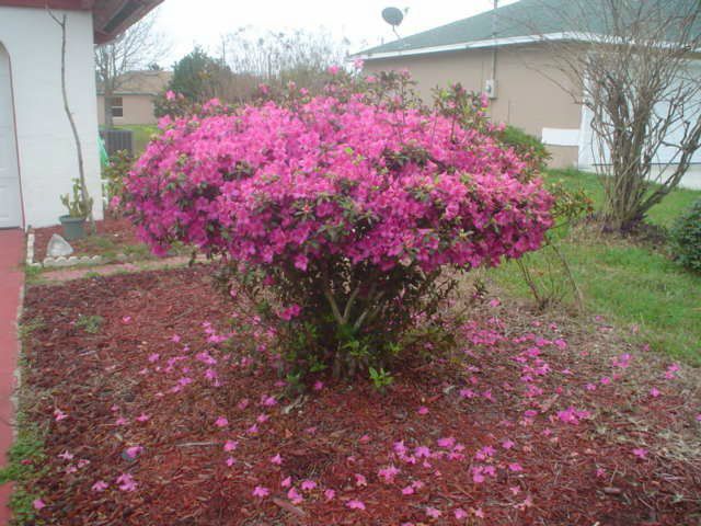 Igor Tarasov фото №40