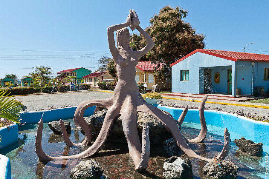 Дмитрий Малов фотография #3