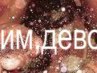 Сергій Пахольчак фотография #50 (источник - https://vk.com/id123502078)