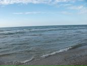 Сергій Алєнічев фотография #41 (источник - https://vk.com/id14559452)