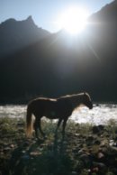 Антон Миненков фотография #39 (источник - https://vk.com/id2384809)