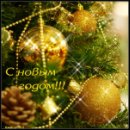 Алексей Антоненко фотография #9 (источник - https://vk.com/id11280778)