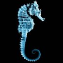 Міша Бобела фотография #32 (источник - https://vk.com/id16290372)