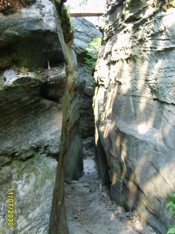 Евгений Трубицын фотография #32