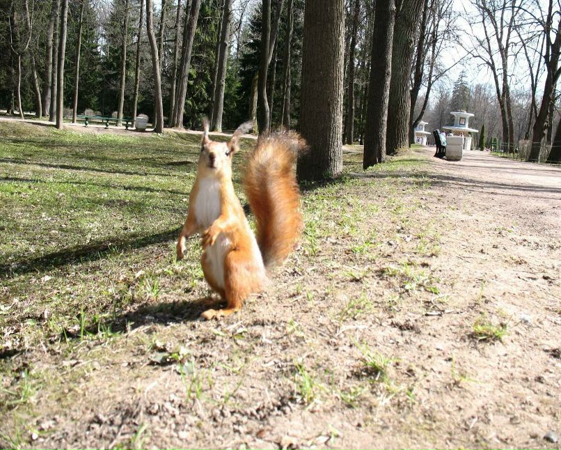 Дмитрий Якут фотография #21