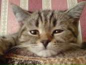 Фотография Сорокиной Юли