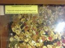 Nаталія Nаталія фотография #32 (источник - https://vk.com/id54485185)