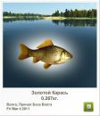 Андрій Гавриляк фотография #45 (источник - https://vk.com/id104707360)