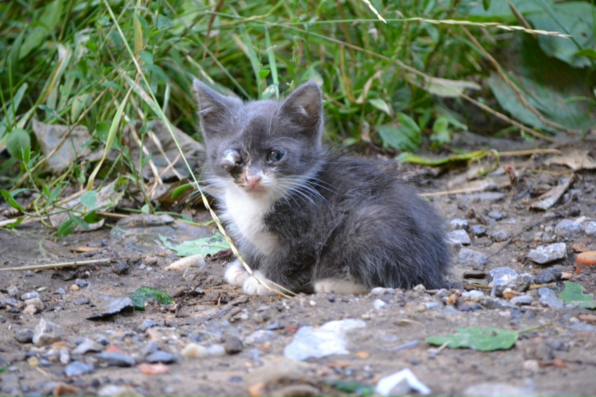 Константин Басалаев фотография #28