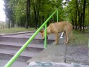 Гомонець Сергій фотография #11 (источник - https://vk.com/id25492194)